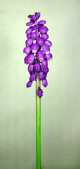 F 047B